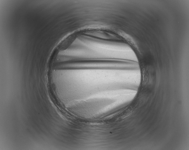 X0000082200436200702100005