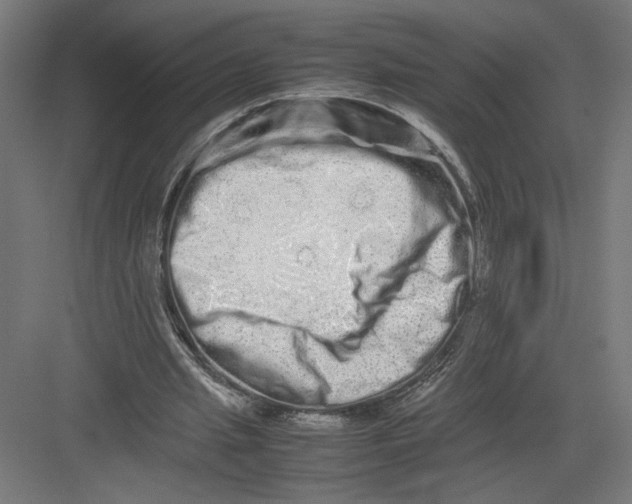 X0000082200437200702100005