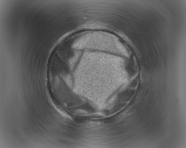 X0000082200438200702100005