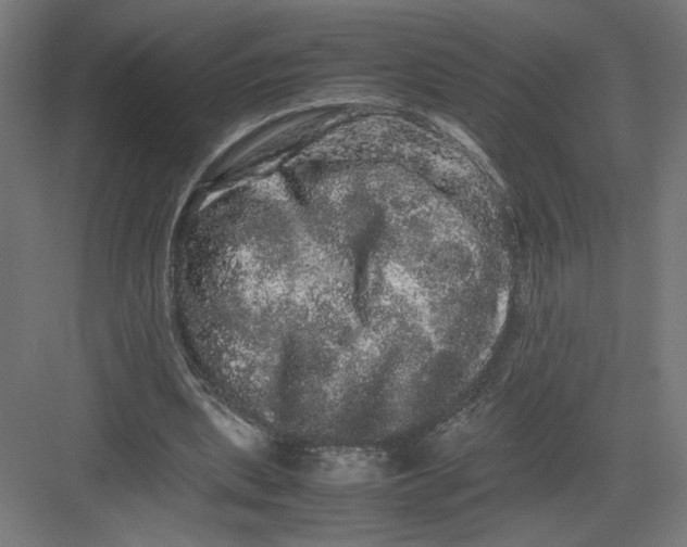 X0000082200439200702100005