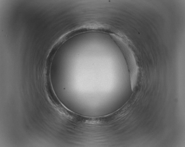 X0000082200440200702100005