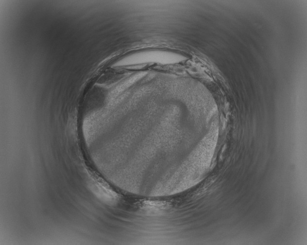 X0000082200442200702100005