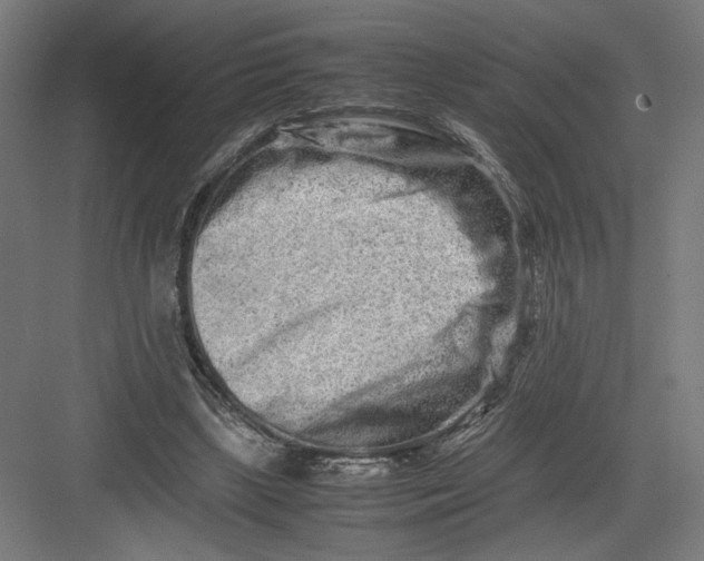 X0000082200443200702100005