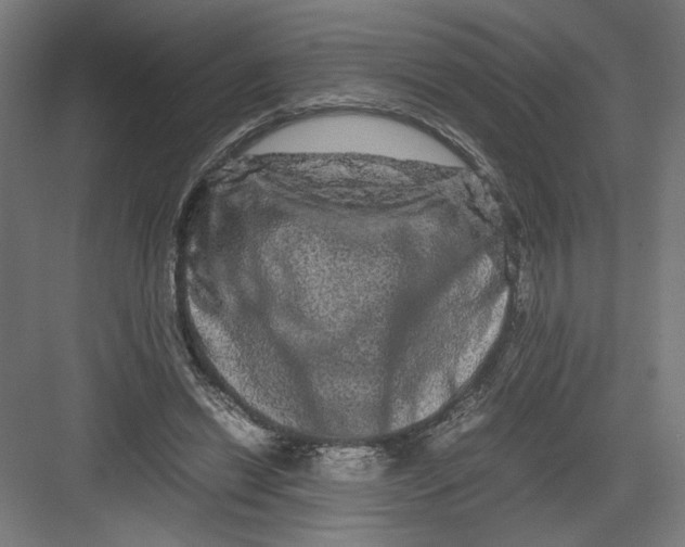 X0000082200446200702100005