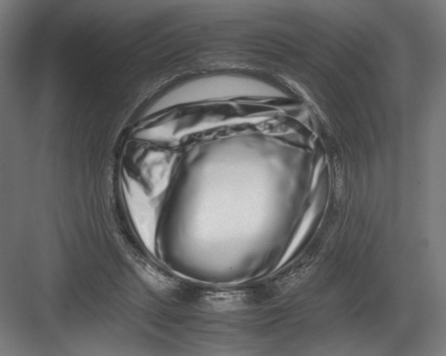 X0000082200447200702100005