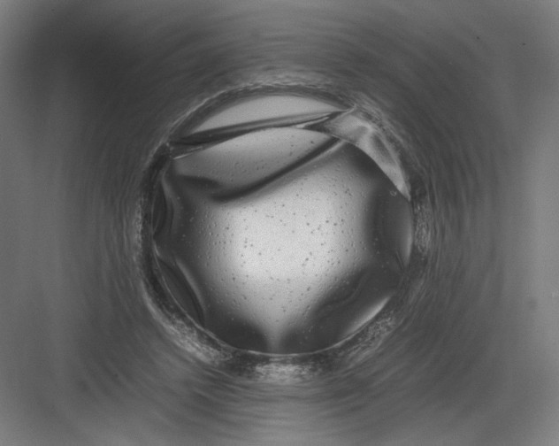 X0000082200448200702100005