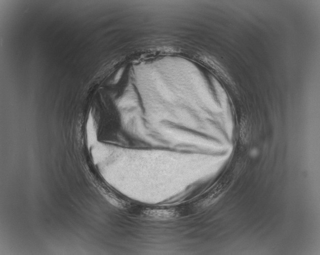 X0000082200449200702100005