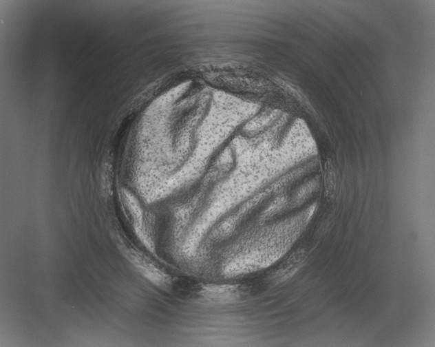 X0000082200450200702100005