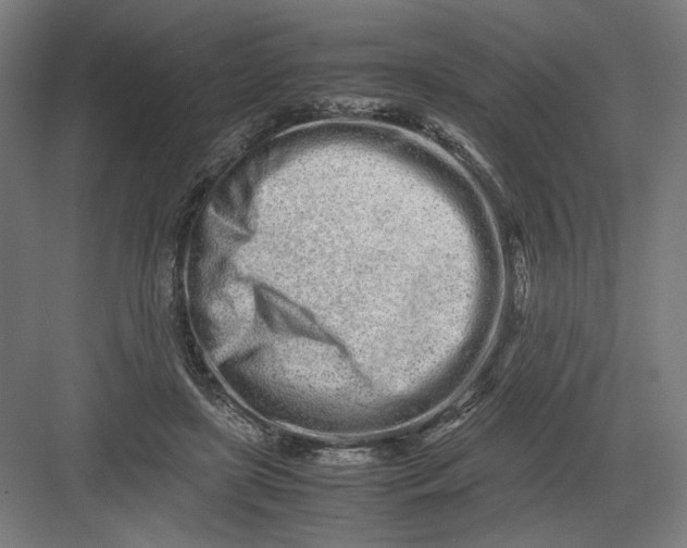 X0000082200451200702100005