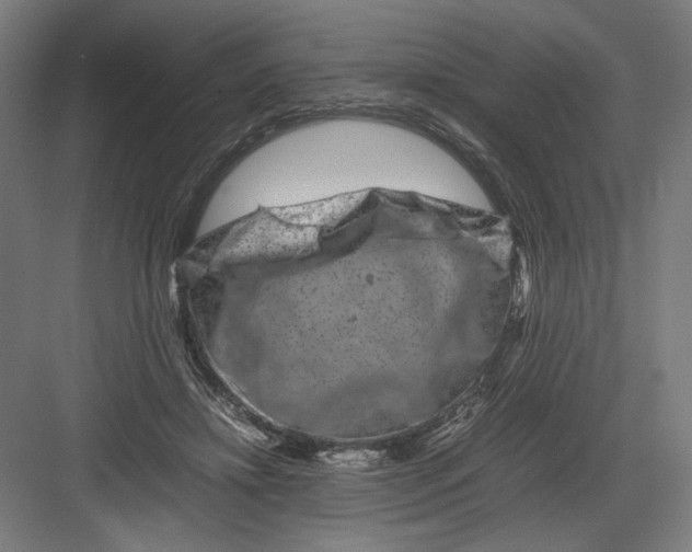 X0000082200452200702100005