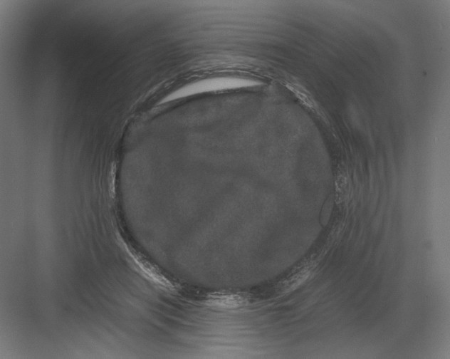 X0000082200454200702100005