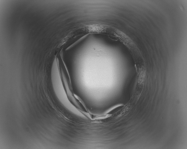 X0000082200456200702100005