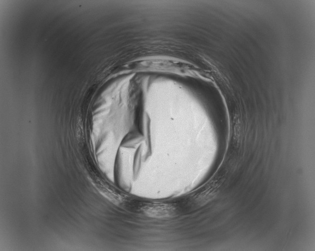 X0000082200459200702100005