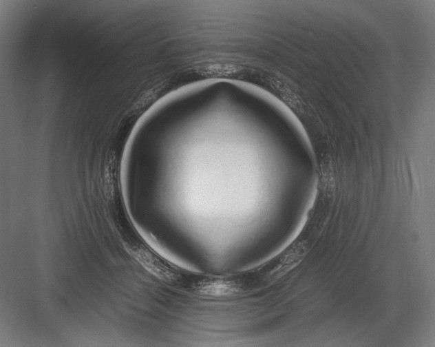 X0000082200460200702100005