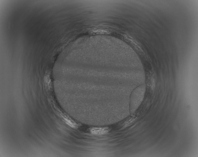 X0000082200465200702100006