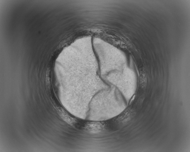 X0000082200466200702100006