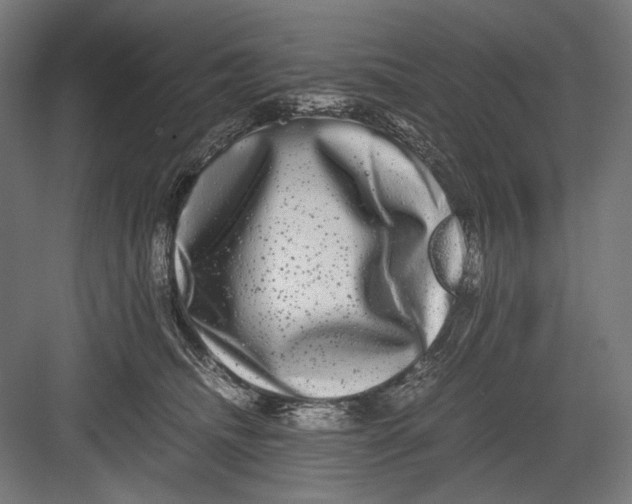 X0000082200468200702100006