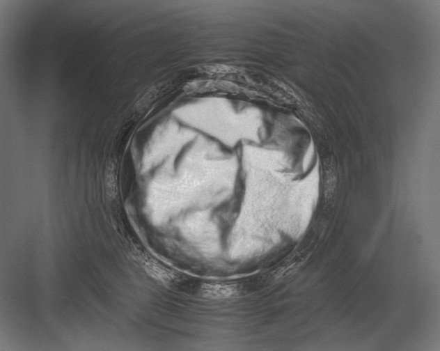 X0000082200469200702100006