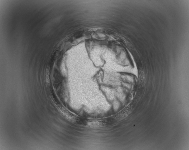 X0000082200470200702100006