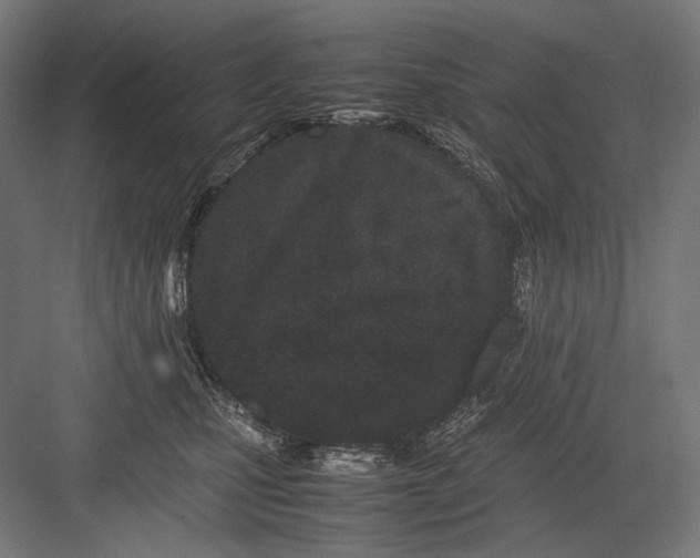 X0000082200471200702100006