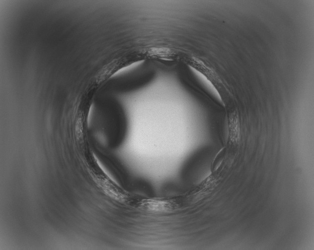 X0000082200472200702100006