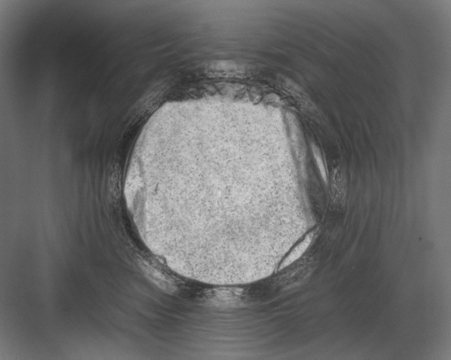 X0000082200474200702100006