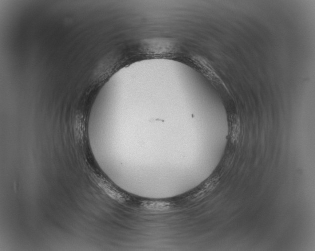 X0000082200476200702100006