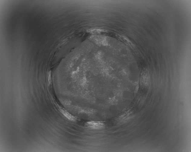 X0000082200477200702100006