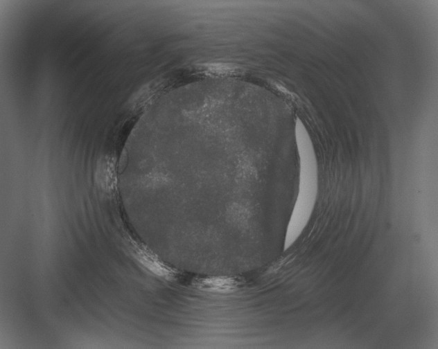 X0000082200478200702100006