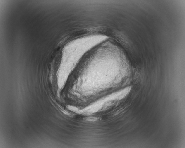 X0000082200479200702100006