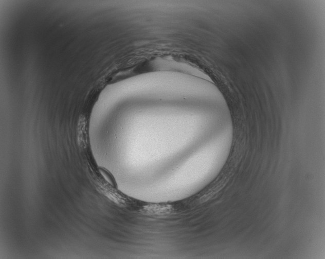 X0000082200480200702100006