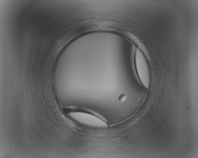 X0000082200481200702100005