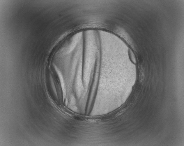 X0000082200482200702100005