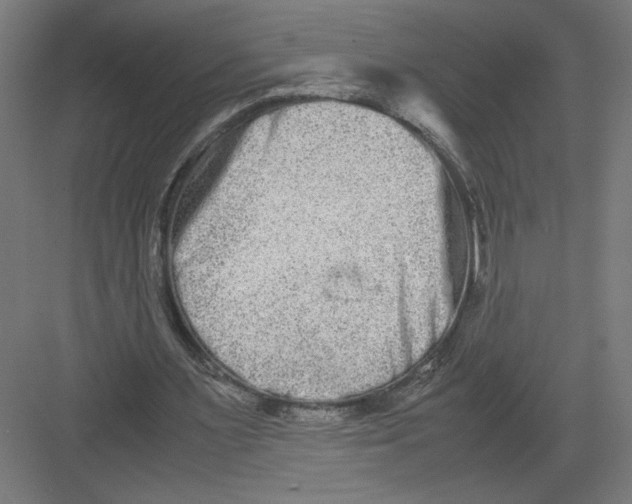 X0000082200483200702100005