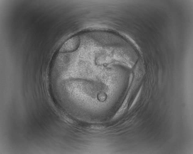 X0000082200487200702100005