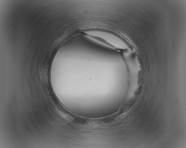 X0000082200489200702100005