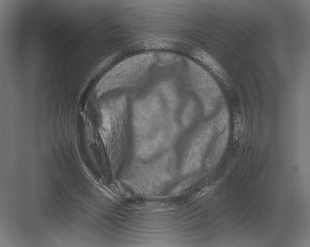 X0000082200490200702100005