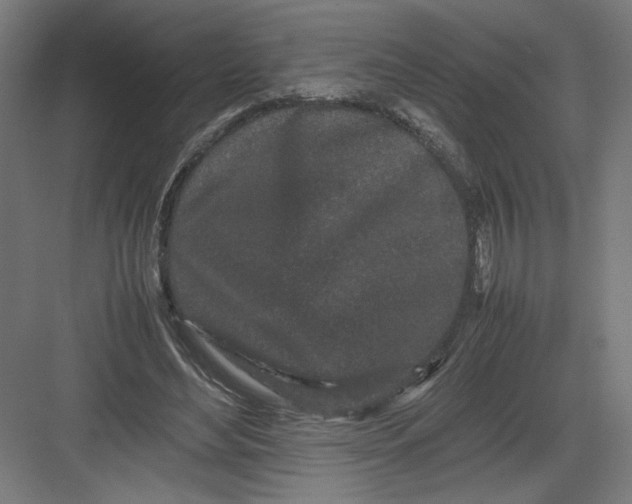 X0000082200492200702100005