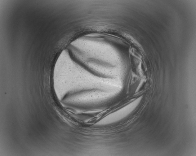 X0000082200493200702100005