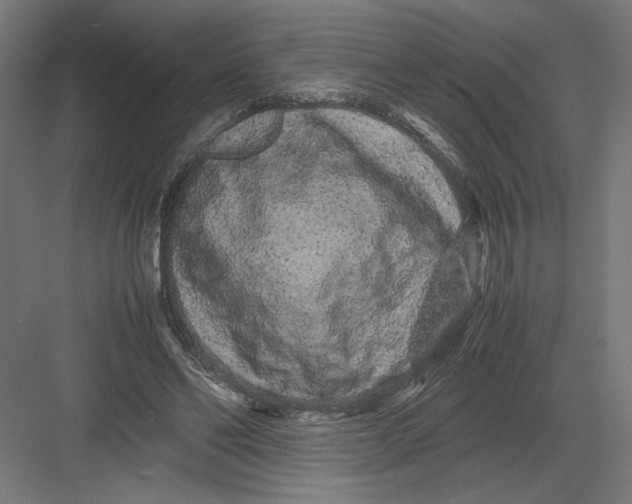 X0000082200494200702100005