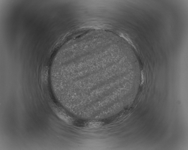 X0000082200495200702100005