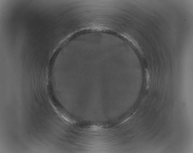 X0000082200496200702100005