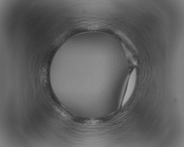 X0000082200497200702100005