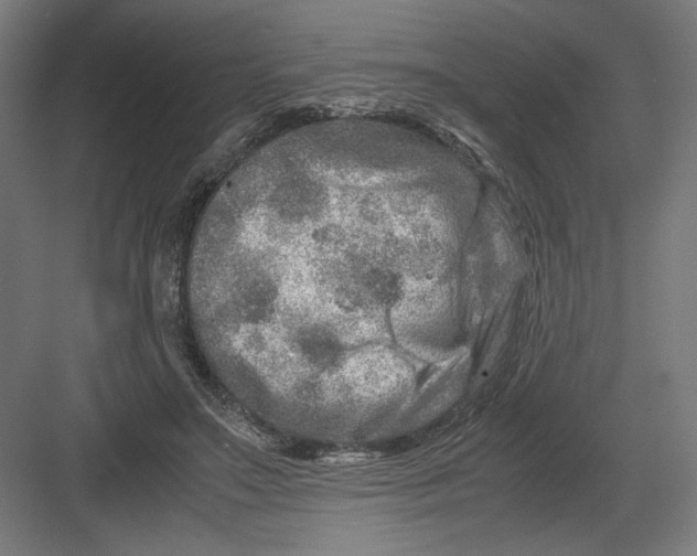 X0000082200499200702100005