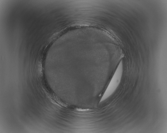 X0000082200500200702100005