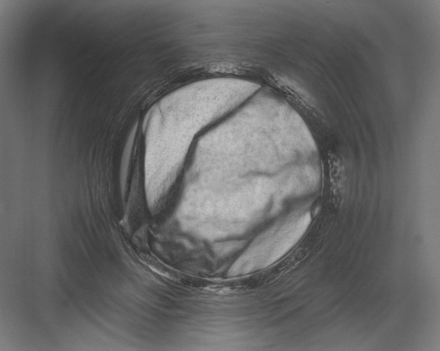 X0000082200502200702100005