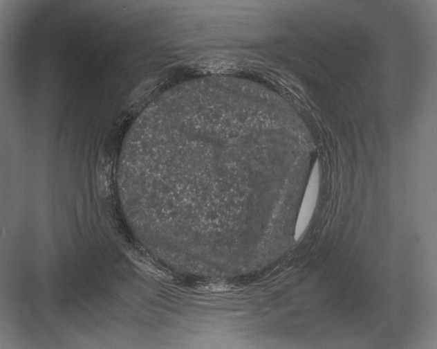 X0000082200503200702100005