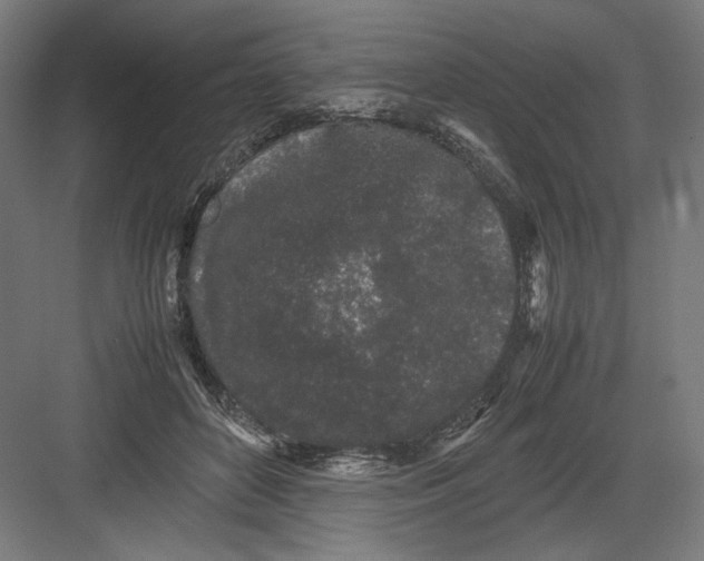 X0000082200504200702100005