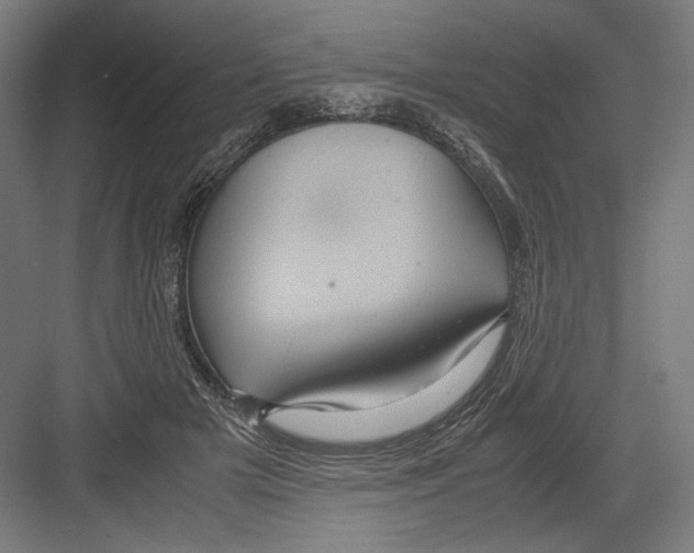 X0000082200505200702100005