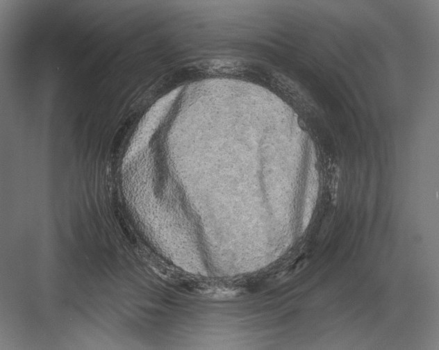 X0000082200506200702100005